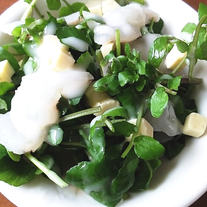 クレソン ゴーダチーズ ヒラメの刺身サラダ
